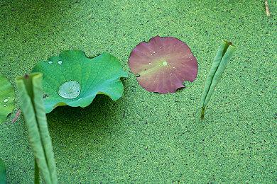 绣湖新作《The Past Within》新预告 明年Q2发售